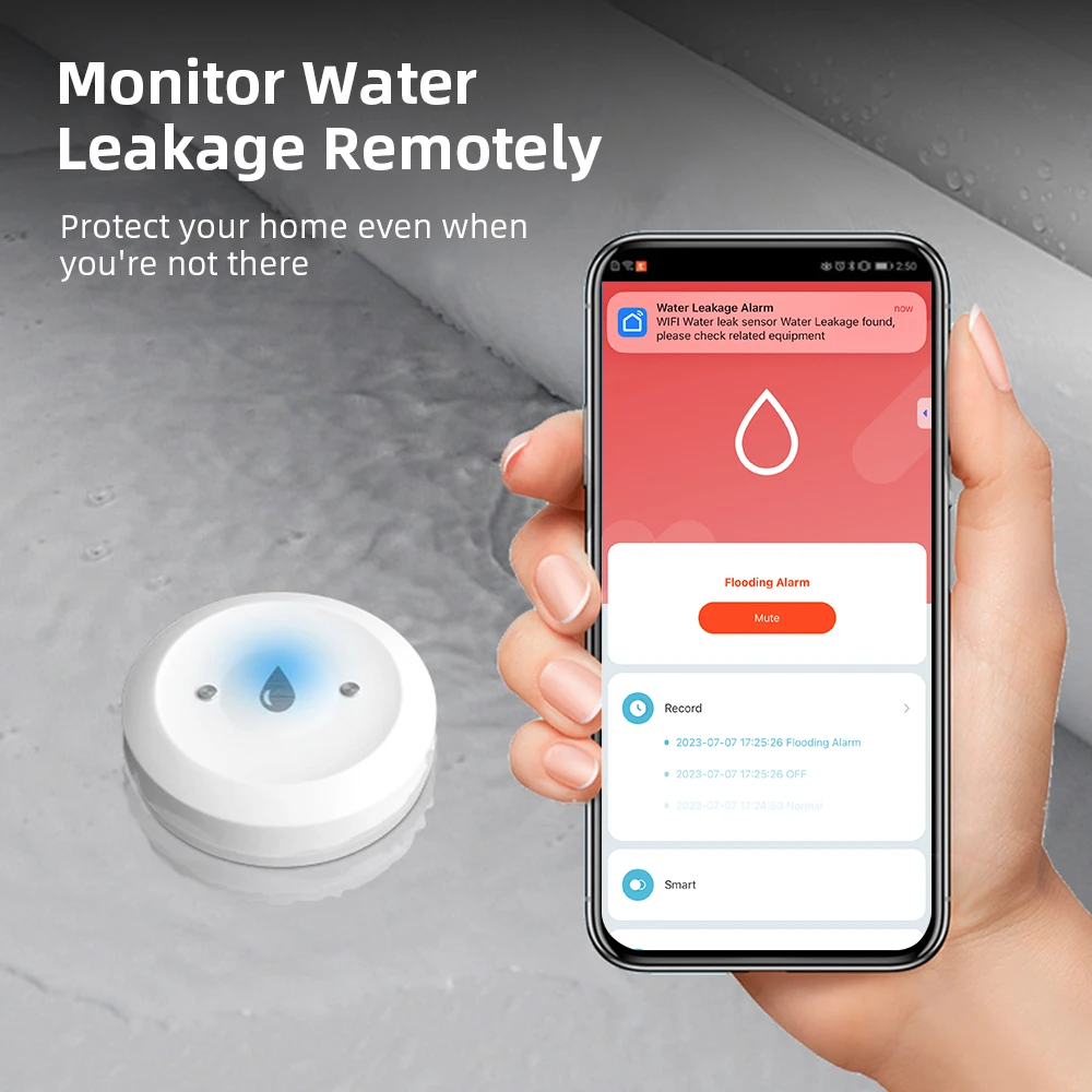 Smart Home Google Assistant - Détecteur de fuite d'eau Zigbee pour