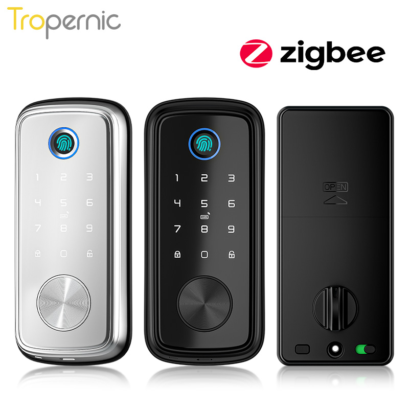 Smart Home Google Assistant - Tuya Zigbee-Serrures à pêne dormant de