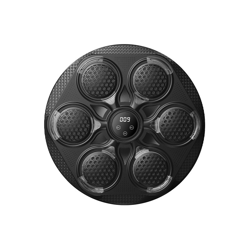 2026 Fitness Home Boxing Targe - Smart Home Trainer avis et prix