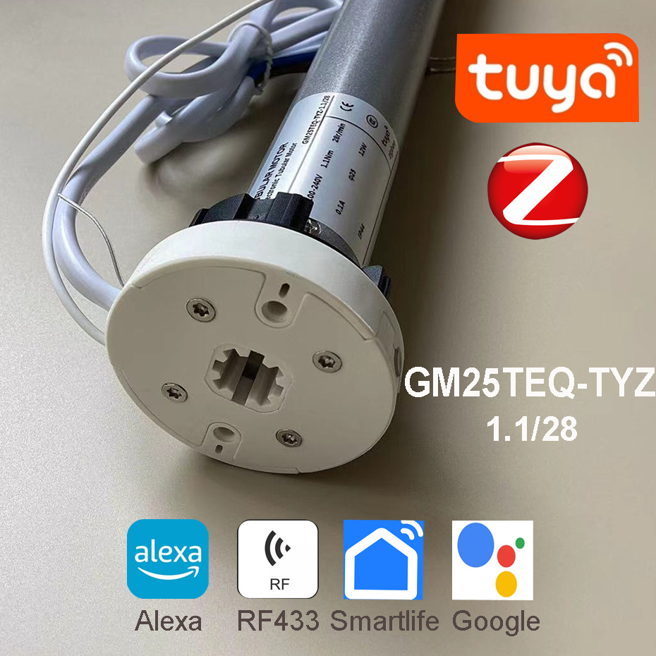 Tuya Zigbee GM25TEQ 1.1N moteu - Smart Home Youtube avis et prix
