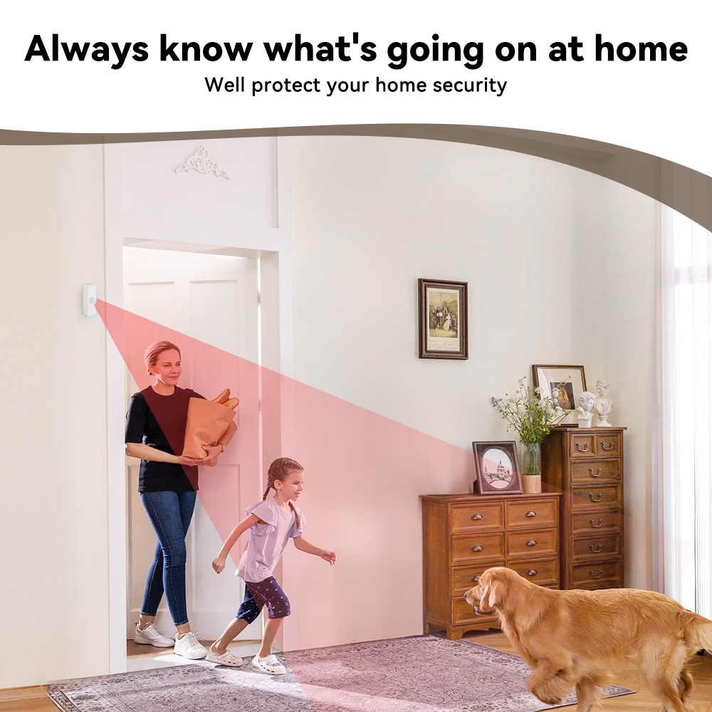 Détecteur de mouvement PIR int - Smart Home Monitor avis et prix