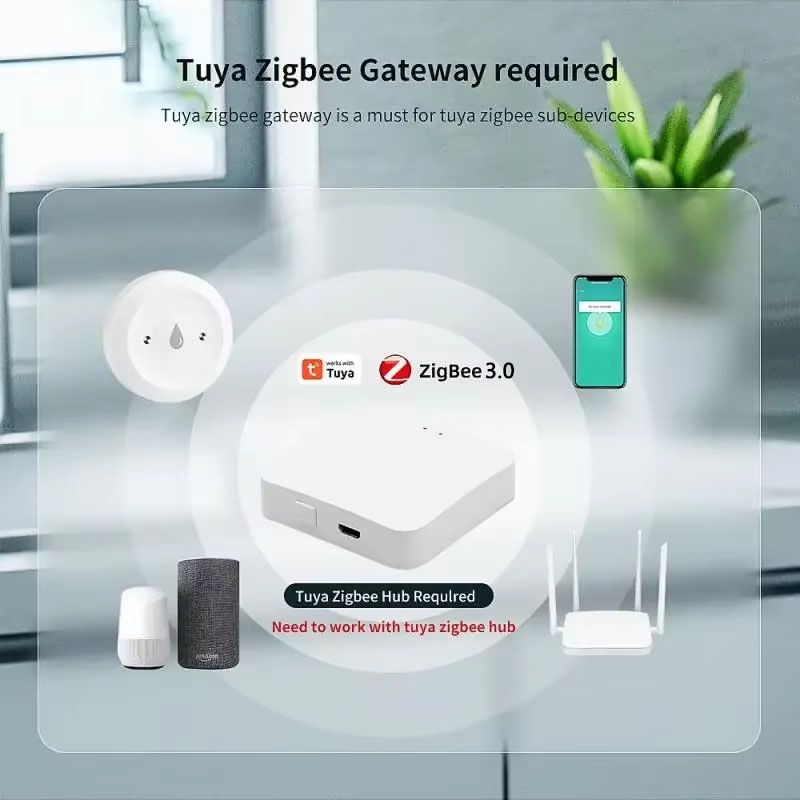 Capteur intelligent de fuite d - Smart Home Google Assistant avis et prix
