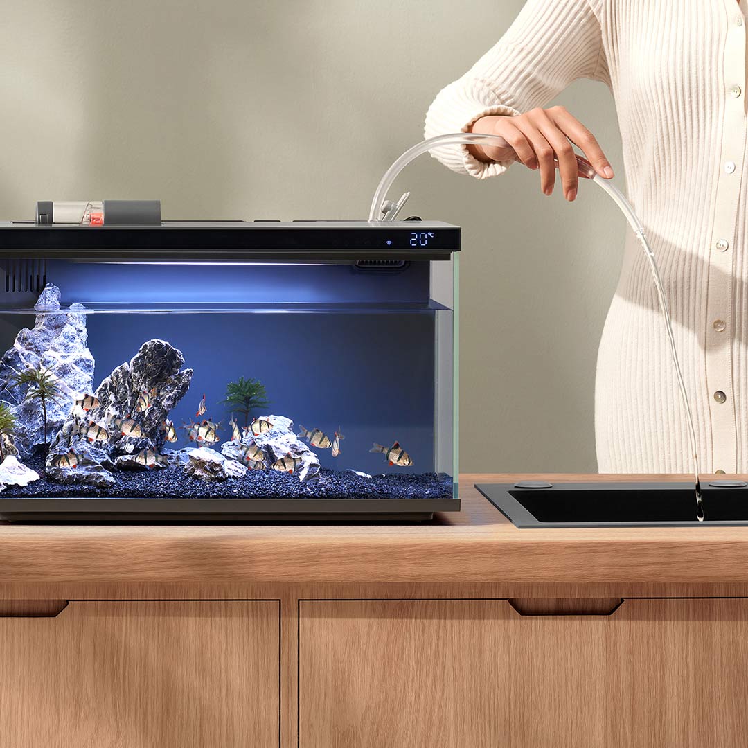 Xiaomi Mijia – Aquarium intell - Smart Home Xiaomi Kit avis et prix