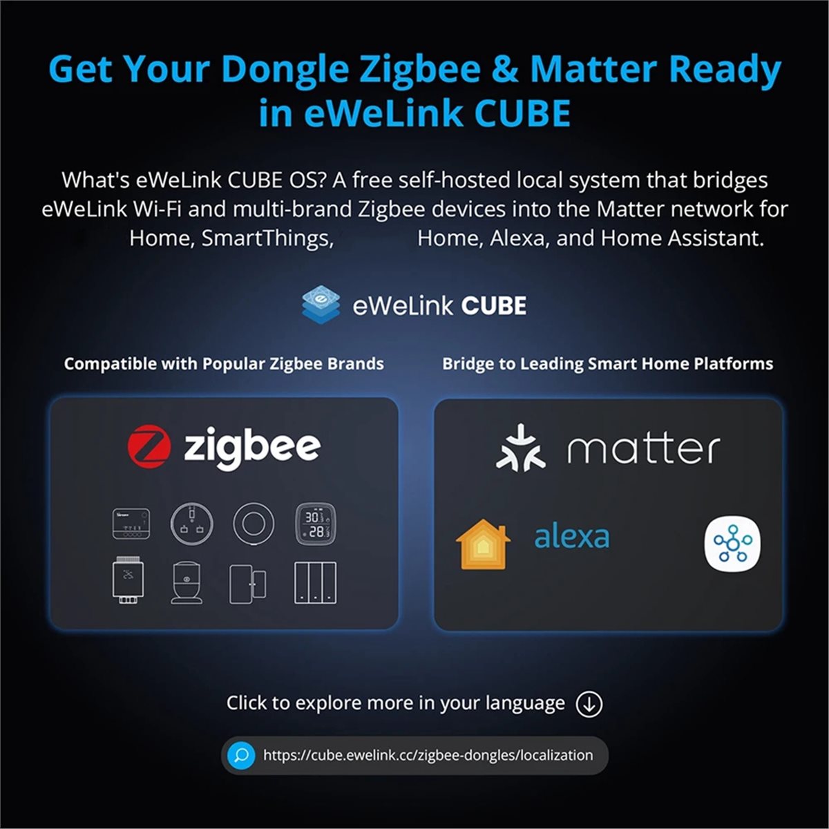 Dongle Plus MG24 Zigbee Thread - Smart Home Plus avis et prix