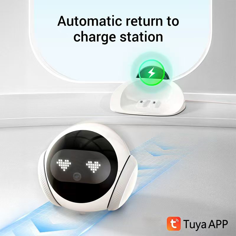 Compagnon électronique intelli - Smart Elderly Home avis et prix